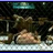 mmafightbiz's profile image