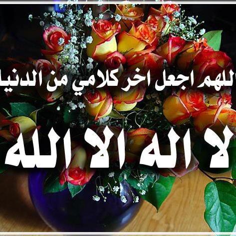 @ALzakerun
 @AlMosahf
                                                      @gfs2021    @9llB
 @Ja_ber2
@ayat_Quran88
   @souratalkahf
@astaghfirallahz

@Mus7af