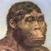 OrrorinT's profile picture. 