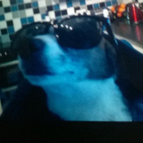 HubbardSheldon's profile picture. 