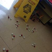 slhscience (@slhscience) 's Twitter Profile