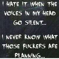 I'm innocent everything i tweet is what my gemini twin tells me to.. it wasn't me!. love to torment!! sweary rants occur, you have been warned ;)