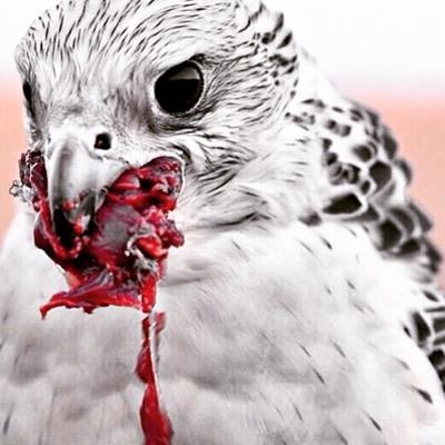 RiVtR6NjlDG98Rc's profile picture. يالله دخيلك☔️☔️☔️