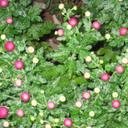 jOE qUINTON - @QjoeJoe - Twitter