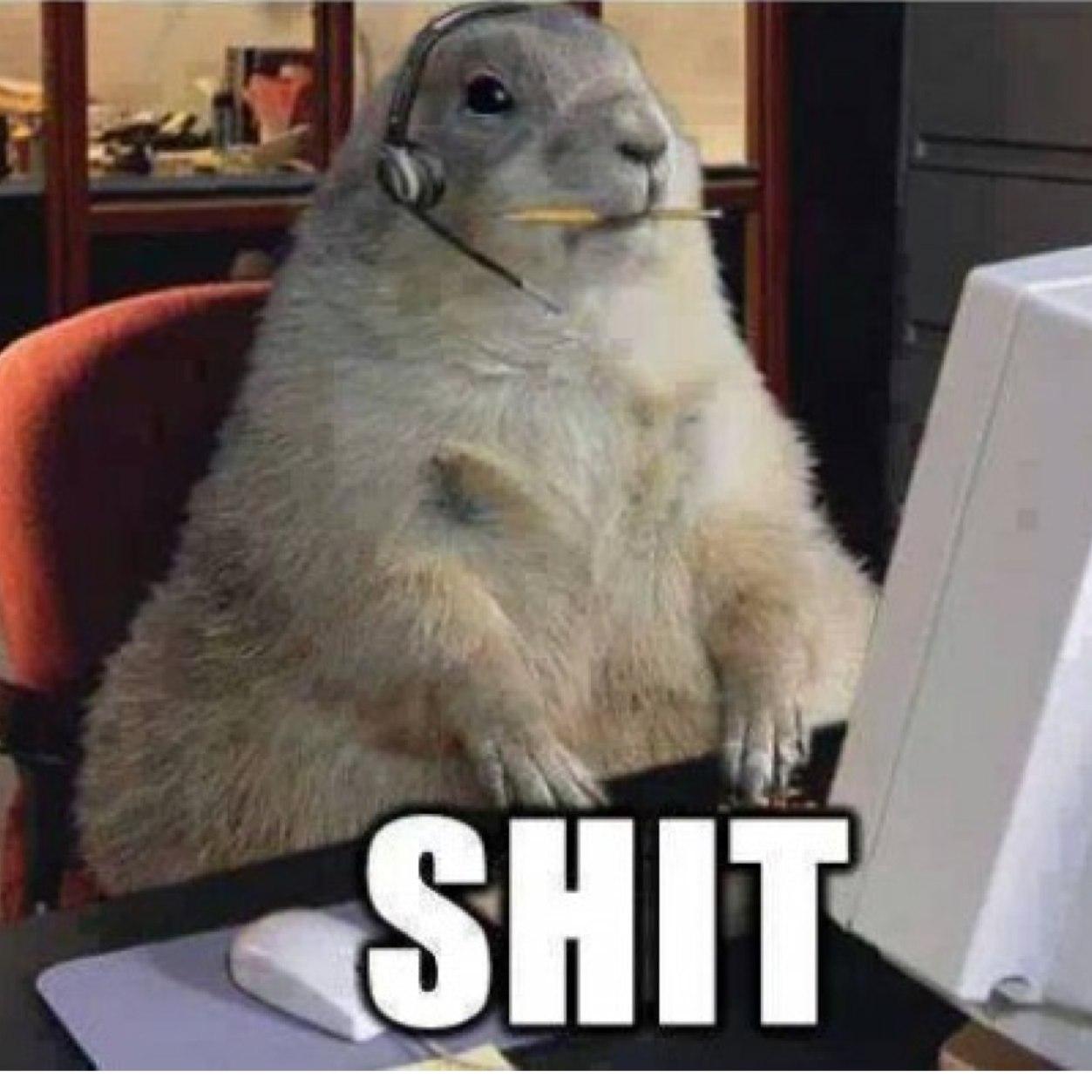 HDxPhOeNiiXZ's profile picture. Never been to America but have been in plenty of states over the years