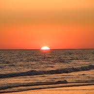 PoetaFuck's profile picture. 