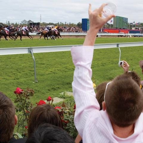 woodbinerl's profile picture. live updates on woodbine racing thoroughbred cards. entries scratches carryovers stakes noms. Not weg affiliated