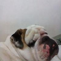 Tata C. A. (@tatacastroante) 's Twitter Profile