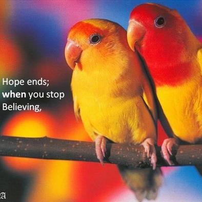 dchambers2's profile picture. Bossier Parish Community College