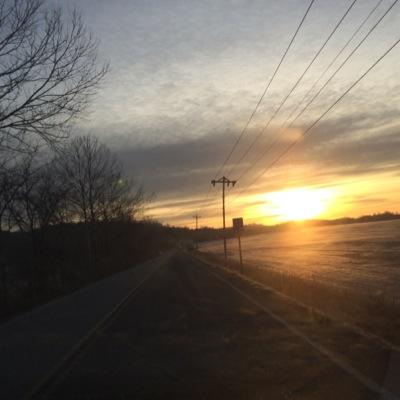 palmmtreez's profile picture. 