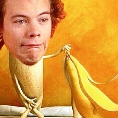 hstylzfme's profile picture. why use a tampon when you can use harry styles dick