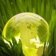 Sustainable Earth