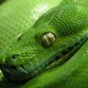 Adam Bagnall - @RepileBros - Twitter