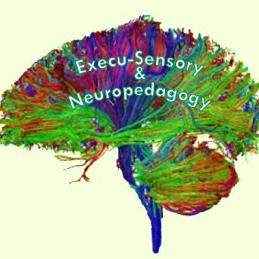 Providing Practical, Long-Term Solutions via Neuroplastic Learning Connections. The Brain, The Body, The Mind, and Neuropedagogy. https://t.co/GrNBG6mZhL