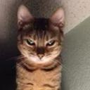 Shane Lemons - @shaneo2001 - Twitter