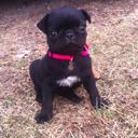 Maya Wilkinson - @mytiafun - Twitter