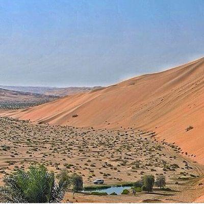‏‏‏لاتثق باحد مهما كان او يكون حتا لاتندم مستقبلا