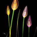 Olga - @olga_pineiro - Twitter