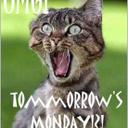 kathy strait - @katlady26 - Twitter