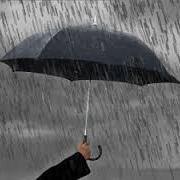 sunnyinks's profile picture. 