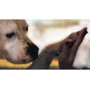 Quotes in the Daily - @Kaden_Ross_ - Twitter