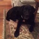 Seth schmidt - @21horror - Twitter