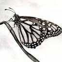 Marisabel Medrano - @marisa_medrano - Twitter