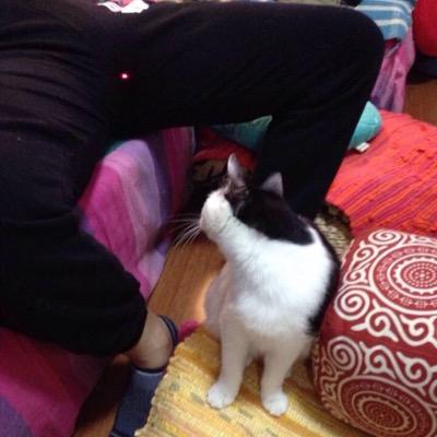 xcomgo123's profile picture. 