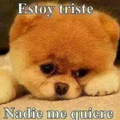 Te amo Noelia Viviana Esquivel Aguirre te amo