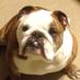 ….. (@pblmb25) Twitter profile photo
