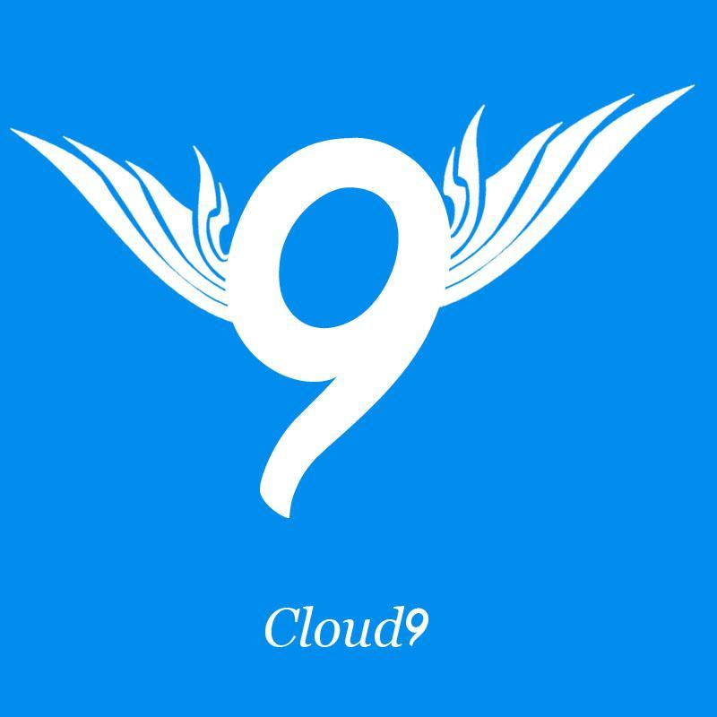 Cloud9 also known as C9 is a Call of Duty gaming team on youtube.