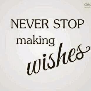 schildkat's profile picture. 