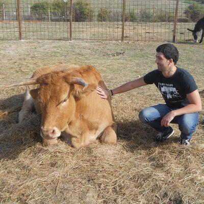En algún lugar bajo la lluvia sie
mpre habrá un animal abandonado que me impedirá ser feliz. VEGANO