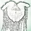 11 million hands (@11millionhands) Twitter