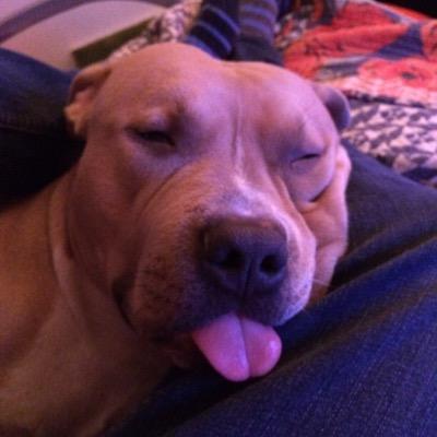 DizzyDaytime's profile picture. 