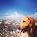  Heidi Farmer - @heidi22denver - Twitter