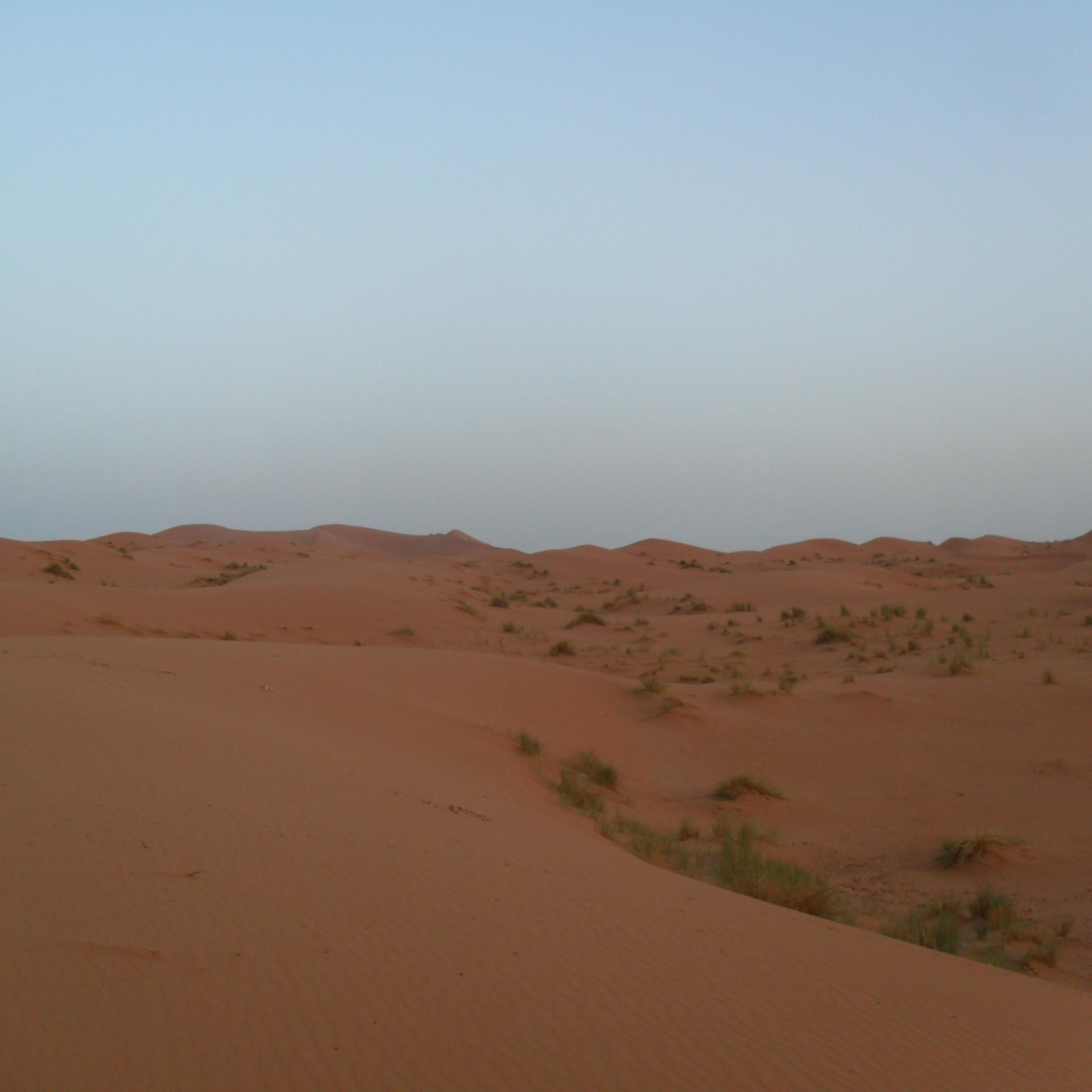 HSPGLOBE's profile picture. We are a security and development firm that has the capacity to develop, manage, and evaluate new and ongoing projects in Africa and the developing world.