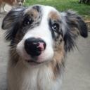 Jayne Rowe - @JaynePrimmer1 - Twitter