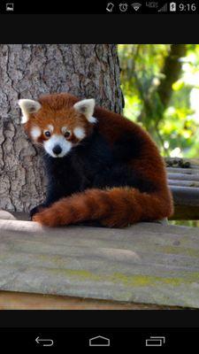 Asht1n_'s profile picture. #NewYoutuberAndLivestreamer Xbox one gamers that like mindcraft and COD follow me on twitter and twitch-  ashtin