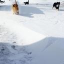 Tyler Hinkle - @jumptwin3 - Twitter