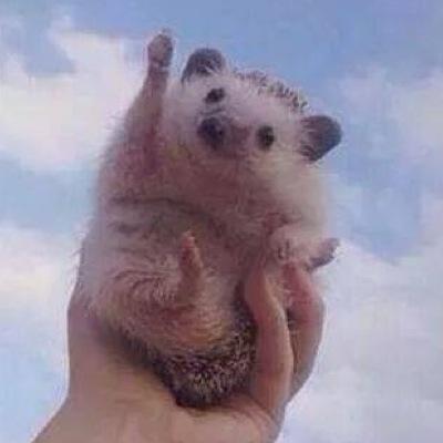 Steppondem's profile picture. 