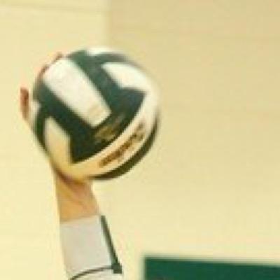 all about the volleyball life
