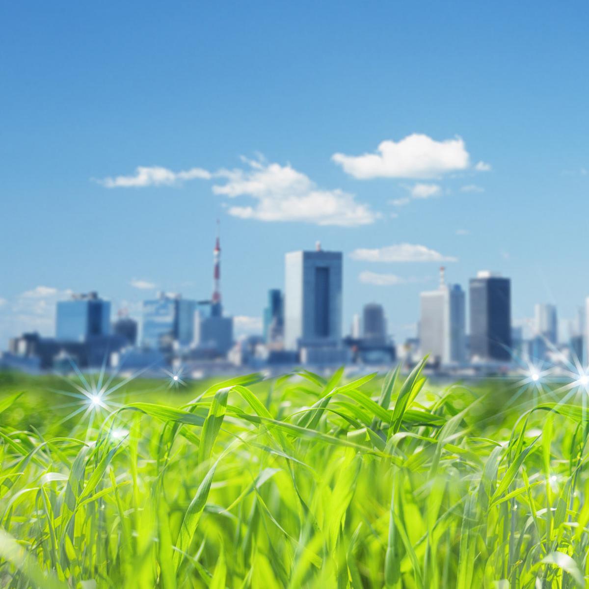 PaulFulljames's profile picture. Keeping it simple when surrounded in technology.