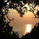 Rose Maxwell - @WetRose247 - Twitter