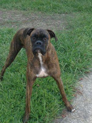 dplowton58's profile picture. 