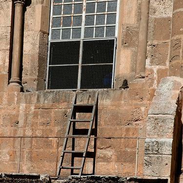 immovableladder's profile picture. Tweets mainly about food security, agriculture, Syria, and US politics.