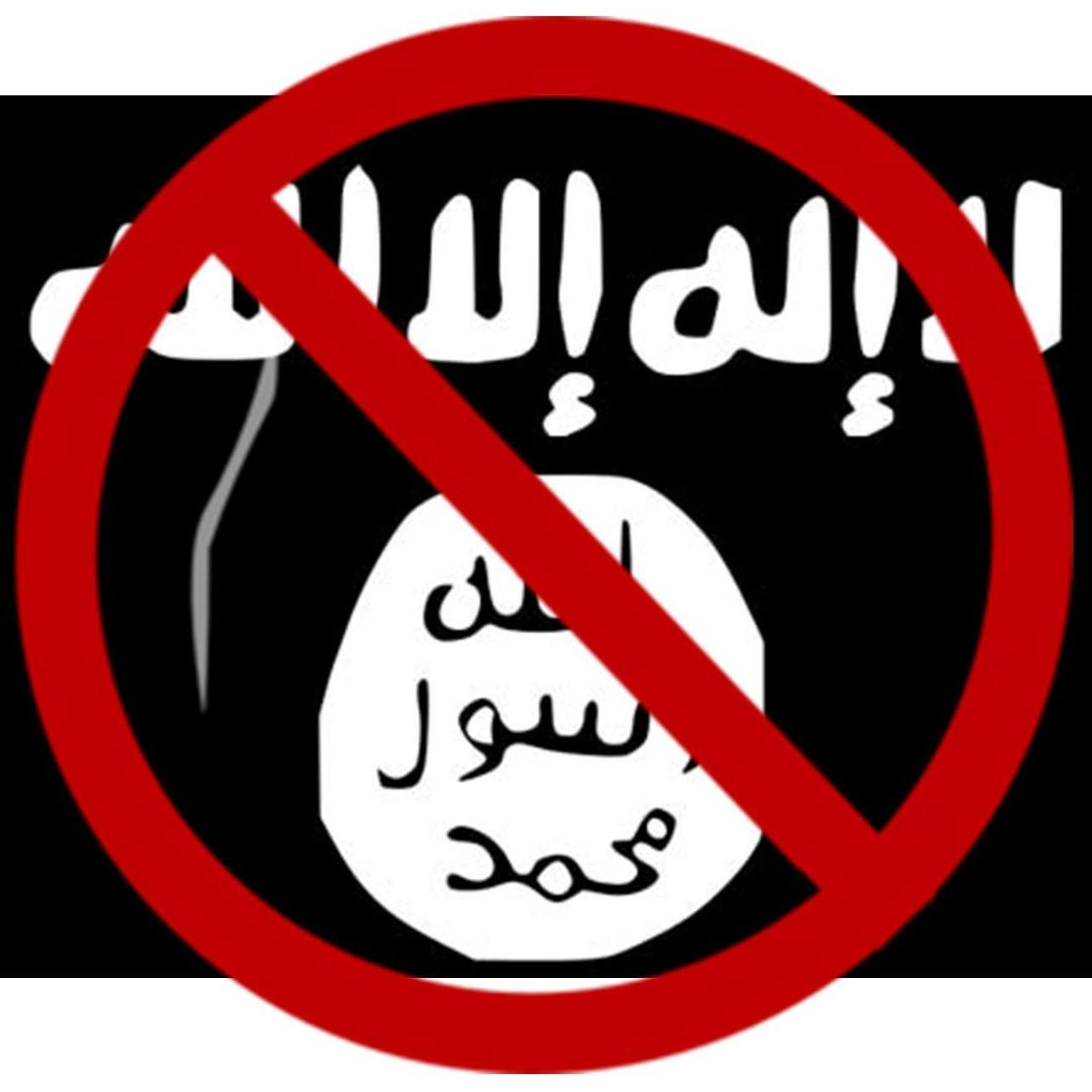 General Twitter Account for #Anonymous ▏ Aiming to destroy ISIS propaganda and influence on the internet ▏ ƠƤᆯᅙ15 ™