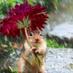 Neelam (@neelam34013288) Twitter profile photo