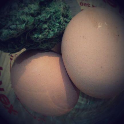 Dazed but not confused. #Paleo living for the modern day #stoner! #caveman #weed #marijuana #food #munchies #runner