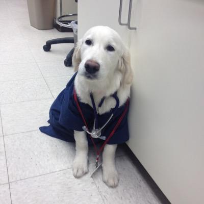 SEAFed5's profile picture. 